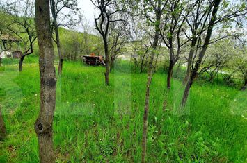 Teren de vanzare CLUJ-NAPOCA - Cluj anunturi imobiliare Cluj