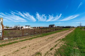 Tunari zona Castanului | teren 750 mp | deschidere 25 ml ideal duplex anunturi imobiliare Bucuresti