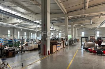 Hala industriala 4700 mp de inchiriat in zona Oncea Oradea anunturi imobiliare Bihor