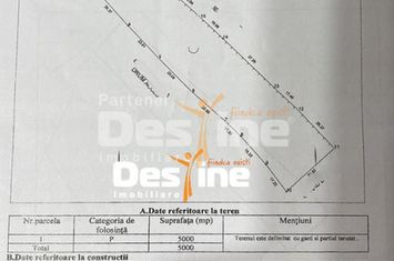 Teren de vanzare SARU DORNEI - Suceava anunturi imobiliare Suceava