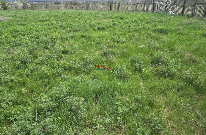 Teren Intravilan de vanzare CENTRAL - Alba anunturi imobiliare Alba