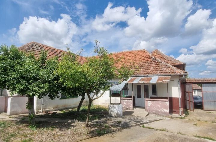 Casă 6 camere, livadă, 3 199 mp, Girisul Negru, Bihor. 42 000 E anunturi imobiliare Bihor
