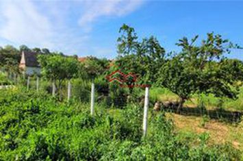 Casă - 3 camere de vanzare ARMENI - Sibiu anunturi imobiliare Sibiu
