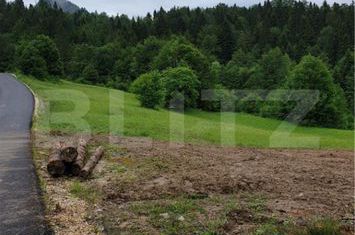 Teren de vanzare BUCIUM - Alba anunturi imobiliare Alba