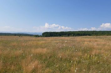 Teren de vanzare SIBIU - Sibiu anunturi imobiliare Sibiu