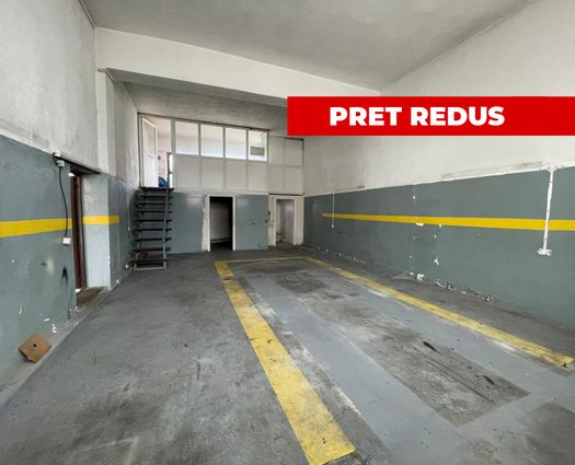 Spațiu industrial Turnisor, 200 mp
