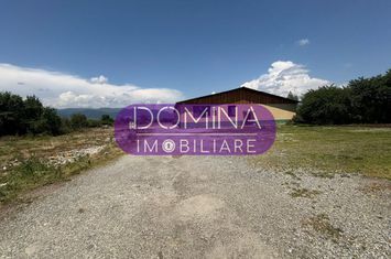 Teren de vanzare TETILA - Gorj anunturi imobiliare Gorj