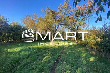 Teren de vanzare RASINARI - Sibiu anunturi imobiliare Sibiu