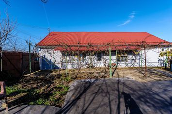 Casă - 4 camere de vanzare IRATOSU - Arad anunturi imobiliare Arad