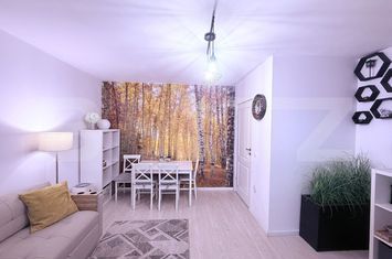 Apartament 2 camere de vanzare IASI - Iasi anunturi imobiliare Iasi