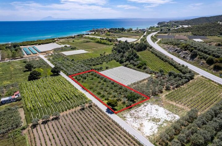 Teren 2550 mp în Nea Peramos, 400 m de plajă anunturi imobiliare Grecia