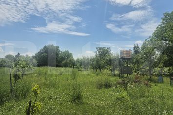Teren de vanzare AMBUD - Satu Mare anunturi imobiliare Satu Mare
