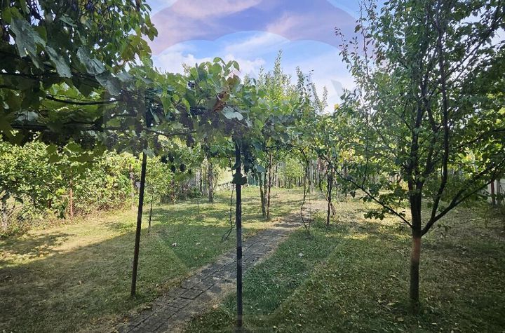 Casa cu 3 camere de închiriat si gradina, zona centrala anunturi imobiliare Sibiu