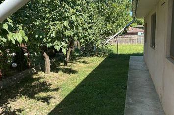Casă - 4 camere de vanzare IASI - Iasi anunturi imobiliare Iasi