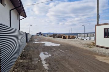 Teren de vanzare CERNELE - Dolj anunturi imobiliare Dolj