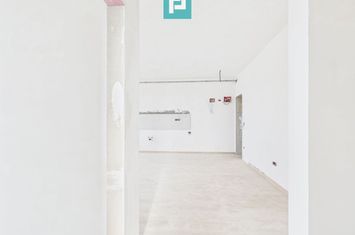 Apartament spatios în Freidorf lângă Shopping City anunturi imobiliare Timis