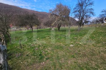 Teren de vanzare CUGIR - Alba anunturi imobiliare Alba