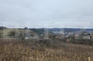 Teren de vanzare LIVEZENI - Mures anunturi imobiliare Mures