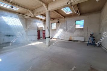 Spațiu industrial de inchiriat CISNADIE - Sibiu anunturi imobiliare Sibiu