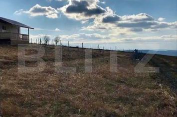 Teren de vanzare CHINTENI - Cluj anunturi imobiliare Cluj