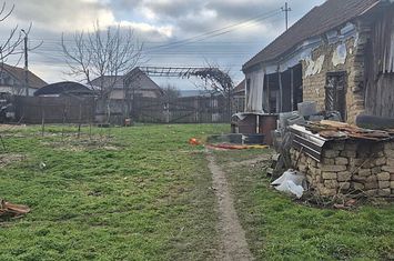 Casa cu teren 4000 mp in Bogei, Bihor anunturi imobiliare Bihor
