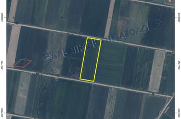 Teren agricol 16.000 mp în Nea Karya Nestos anunturi imobiliare Grecia