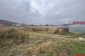 Teren Intravilan de vanzare CENTRAL - Bacau anunturi imobiliare Bacau