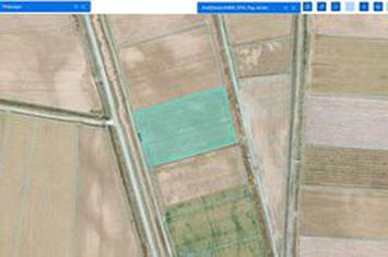Teren agricol 6.706 mp în Nea Karya, Nestos anunturi imobiliare Grecia