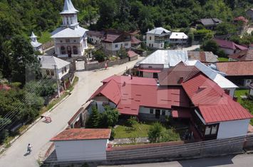 Vilă - 5 camere de vanzare PIETROSITA - Dambovita anunturi imobiliare Dambovita