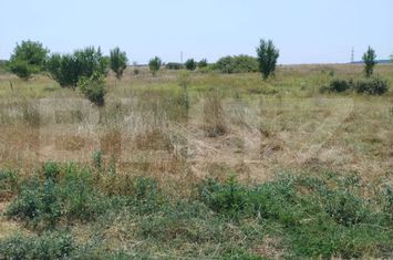 Teren de vanzare BRESTEI - Dolj anunturi imobiliare Dolj