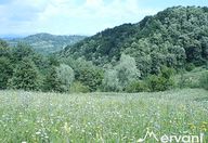 27.000 €, Teren Intravilan