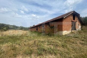 Teren de vanzare FILIASI - Dolj anunturi imobiliare Dolj