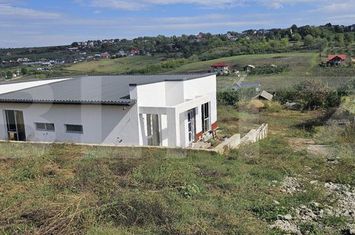 Casă - 4 camere de vanzare VISANI - Iasi anunturi imobiliare Iasi