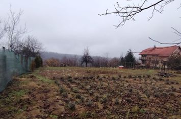 Teren de vanzare SALISTE DE BEIUS - Bihor anunturi imobiliare Bihor