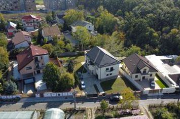 Vila cu locatie UNICA, inconjurata de Padure | 1004 mp teren anunturi imobiliare Bucuresti