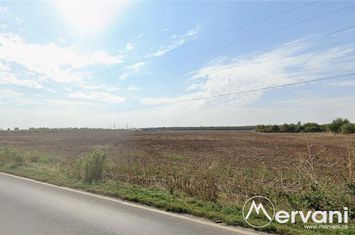 Teren Intravilan de vanzare PAULESTI - Prahova anunturi imobiliare Prahova