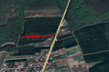 Ciolpani - Dn1 Stradal, teren intravilan, suprafata 4.676 mp anunturi imobiliare Bucuresti