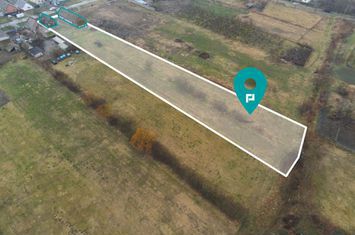 Teren  3930 mp Padureni anunturi imobiliare Timis