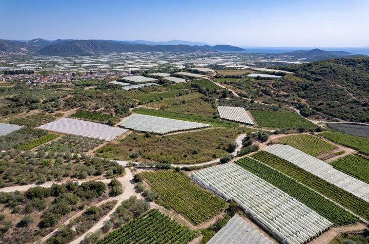 Teren 4373 mp, Paralia Elaiochoriou anunturi imobiliare Grecia