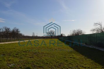 Teren 3500 mp împrejmuit, central, Biharia, lângă Profi, utilități anunturi imobiliare Bihor
