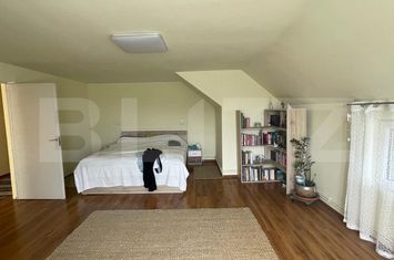 Vilă - 8 camere de vanzare TIMISOARA - Timis anunturi imobiliare Timis