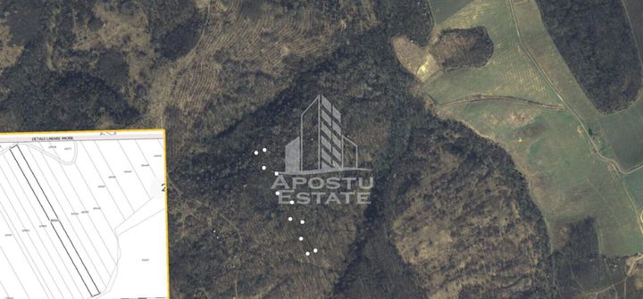 Teren Cuied – Livada 5400 mp anunturi imobiliare Arad