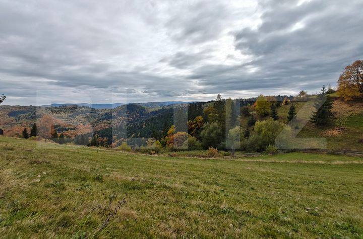 Teren de vanzare FLORESTI - Cluj anunturi imobiliare Cluj