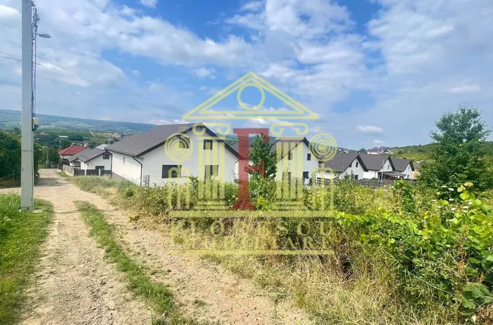Teren intravilan  Tomesti! anunturi imobiliare Iasi