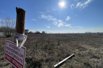 GIULESTI | Teren intravilan PUZ V3a2 3 loturi: 5500 + 1800 + 1800 anunturi imobiliare Bucuresti