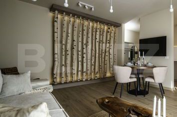 Apartament 2 camere de inchiriat LIPOVEI - Timis anunturi imobiliare Timis