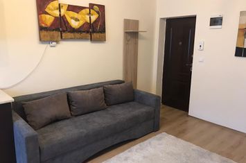 Apartament cu 2 camere, zona Iulius Mall, FSEGA anunturi imobiliare Cluj