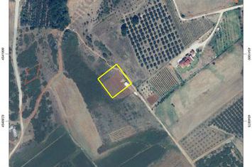 Teren agricol împrejmuit 2003 mp, Neos Xerias anunturi imobiliare Grecia