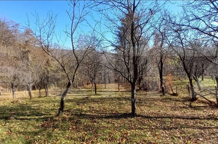 Teren de vanzare TARGOVISTE - Dambovita anunturi imobiliare Dambovita