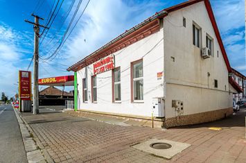 Pensiune funcțională de vânzare pe Calea Radnei, Arad anunturi imobiliare Arad
